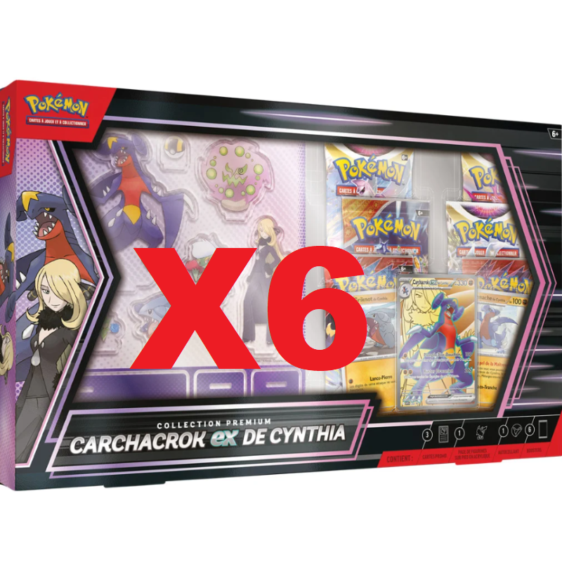 CAISSE DE 6 COFFRETS CARCHACROK EX DE CYNTHIA