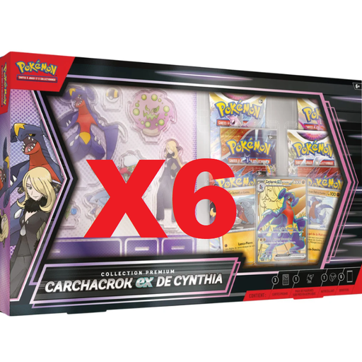 CAISSE DE 6 COFFRETS CARCHACROK EX DE CYNTHIA