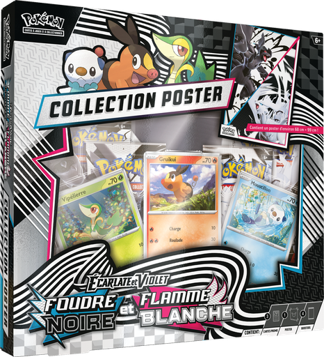 COFFRET COLLECTION POSTER EV10.5 - FOUDRE NOIRE et FLAMME BLANCHE