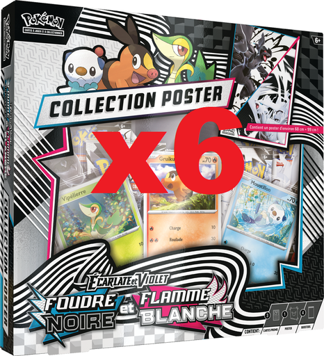 CAISSE DE 6 COFFRETS COLLECTION POSTER EV10.5 - FOUDRE NOIRE et FLAMME BLANCH