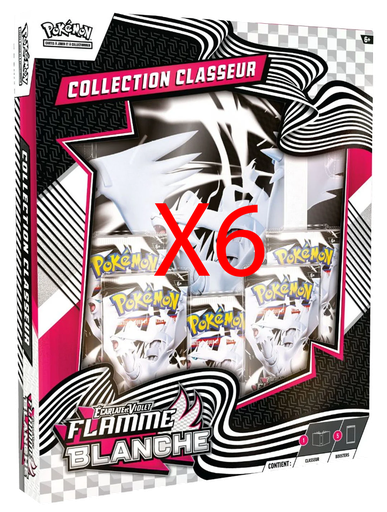 CAISSE SCELLÉE DE 6 COFFRETS COLLECTION CLASSEUR EV10.5 - FLAMME BLANCHE