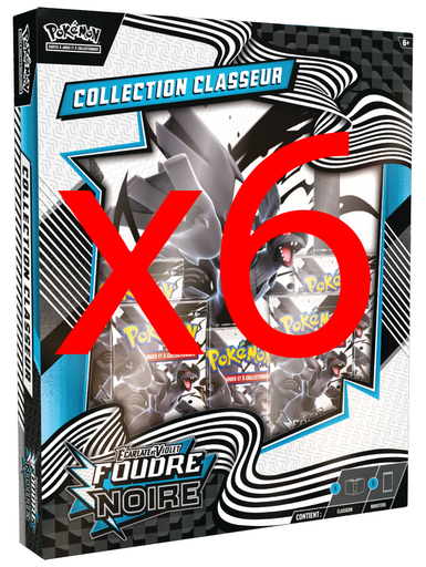 CAISSE SCELLÉE DE 6 COFFRETS COLLECTION CLASSEUR EV10.5 - FOUDRE NOIRE